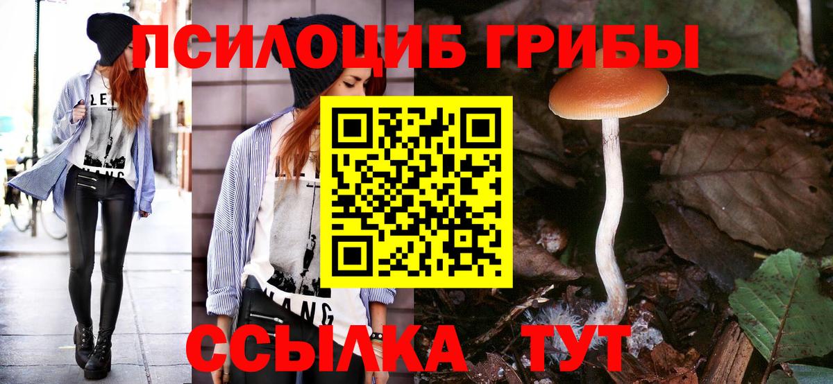 Псилоцибиновые грибы прущие грибы Обь